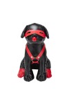 Ajándék és Pride / Prowler Bandit faux bdsm kutya fekete