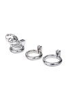 Chastity / Brutus Spider Cage - Metal Chastity Cage