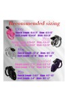 Chastity / The Vice Chastity Cock Cage Micro