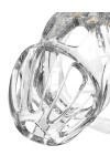 Chastity / Rimba P-Cage PC08 - Penis Cage Transparent