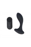 Male G-spot massage / Virgite P4 Prostate Vibrator with Remote Control