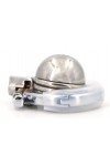 Chastity / CockLock Accordick chastity cage
