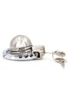 Chastity / CockLock Accordick chastity cage