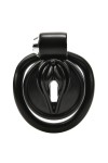 Chastity / CockLock Sissy Clit Chastity Cage