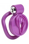 Chastity / CockLock Sissy Clit Chastity Cage