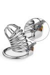 Chastity / CockLock Reegick chastity cage