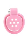Chastity / CockLock Terhidy Plug Cage