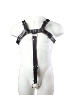 Harnesses / Mister B Extension Strap Black