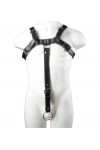 Harnesses / Mister B Extension Strap Black