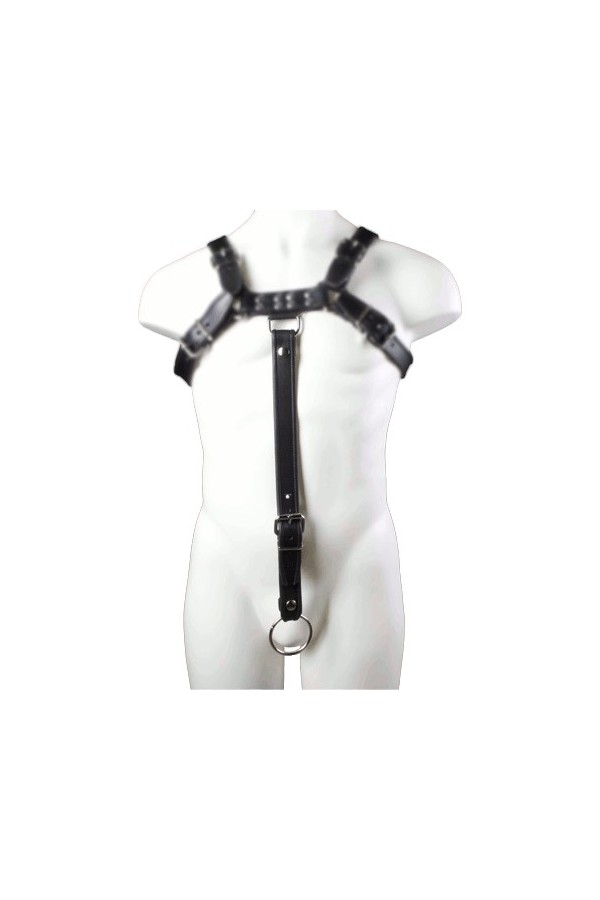 Harnesses / Mister B Extension Strap Black