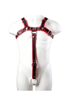 Harnesses / Mister B Extension Strap Red