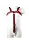 Harnesses / Mister B Extension Strap Red
