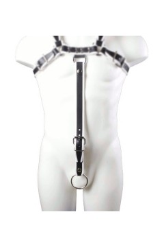 Harnesses / Mister B Extension Strap White