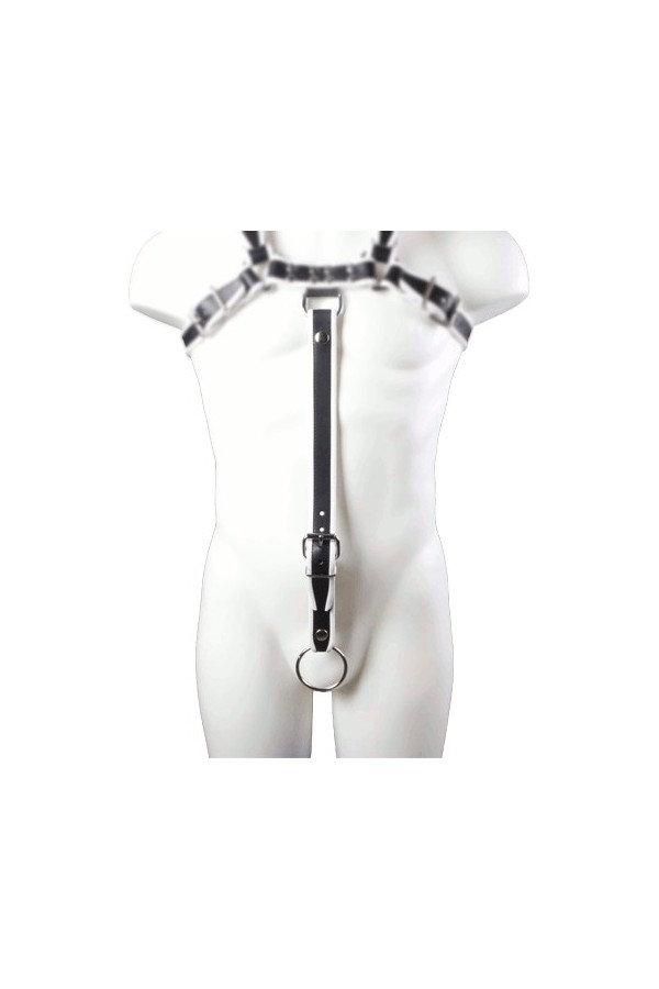 Harnesses / Mister B Extension Strap White