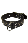Collars / Mister B Slavecollar with conestuds deco