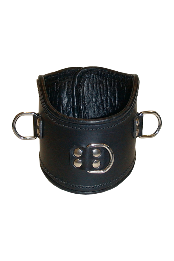 Collars / Mister B Leather Posture Collar