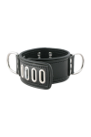 Collars / Mister B Broad Lockable Collar