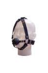 Gags / Mister B Ballgag - faceharness