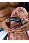 Gags / Mister B Mouth bit on leather strap