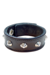Cock - Glans Rings / Mister B Cockstrap with conestuds