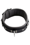 Collars / Mister B Slavecollar with D rings and color padding