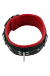 Collars / Mister B Slavecollar with D rings and color padding