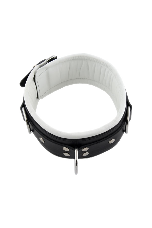 Collars / Mister B Slavecollar with D rings and color padding