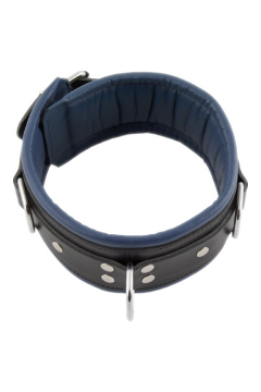 Collars / Mister B Slavecollar with D rings and color padding