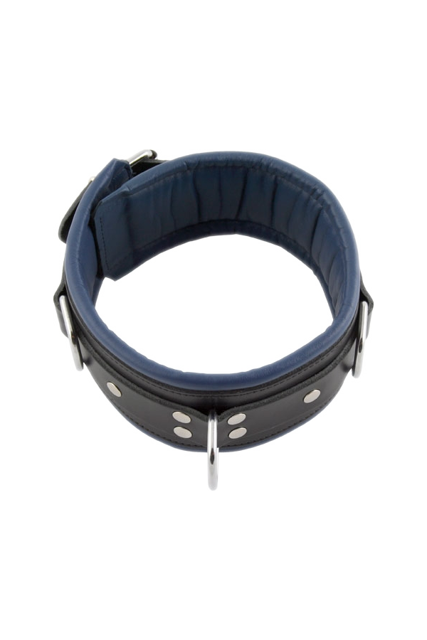 Collars / Mister B Slavecollar with D rings and color padding