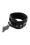 Collars / Mister B Slavecollar with D rings and color padding