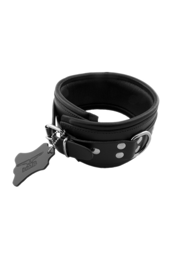 Collars / Mister B Slavecollar with D rings and color padding