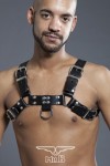 Harnesses / Mister B Chest Harness Saddle Leather Black