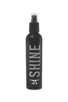 Care Products / Mister B Shine