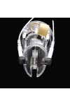 Chastity / Brutus Volt Cage - Electro Chastity Cage - Clear