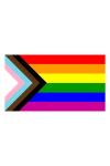 Flags / Mister B Progress Pride Flag 90cm x 150cm