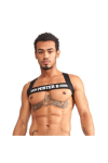 Harnesses / Mister B URBAN Club harness X-back Striped Grey