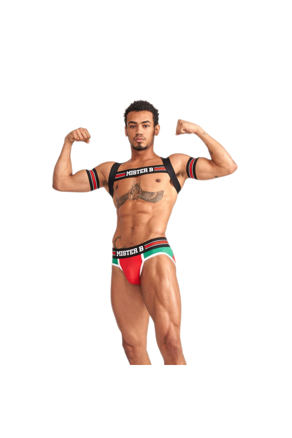 Harnesses / Mister B URBAN Club harness X-back Striped Red