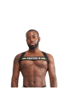 Harnesses / Mister B URBAN Club Harness X-back Striped Yellow