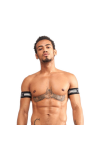 Belts / Mister B URBAN Club Biceps Bands Striped Grey