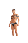 Belts / Mister B URBAN Club Biceps Bands Striped Grey