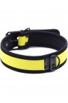 Nyakörvek / Kinky Puppy Színes neoprene nyakörv