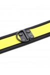 Nyakörvek / Kinky Puppy Színes neoprene nyakörv