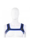 Harnessek / Kinky Puppy Színes neoprene harness