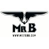 Mister B